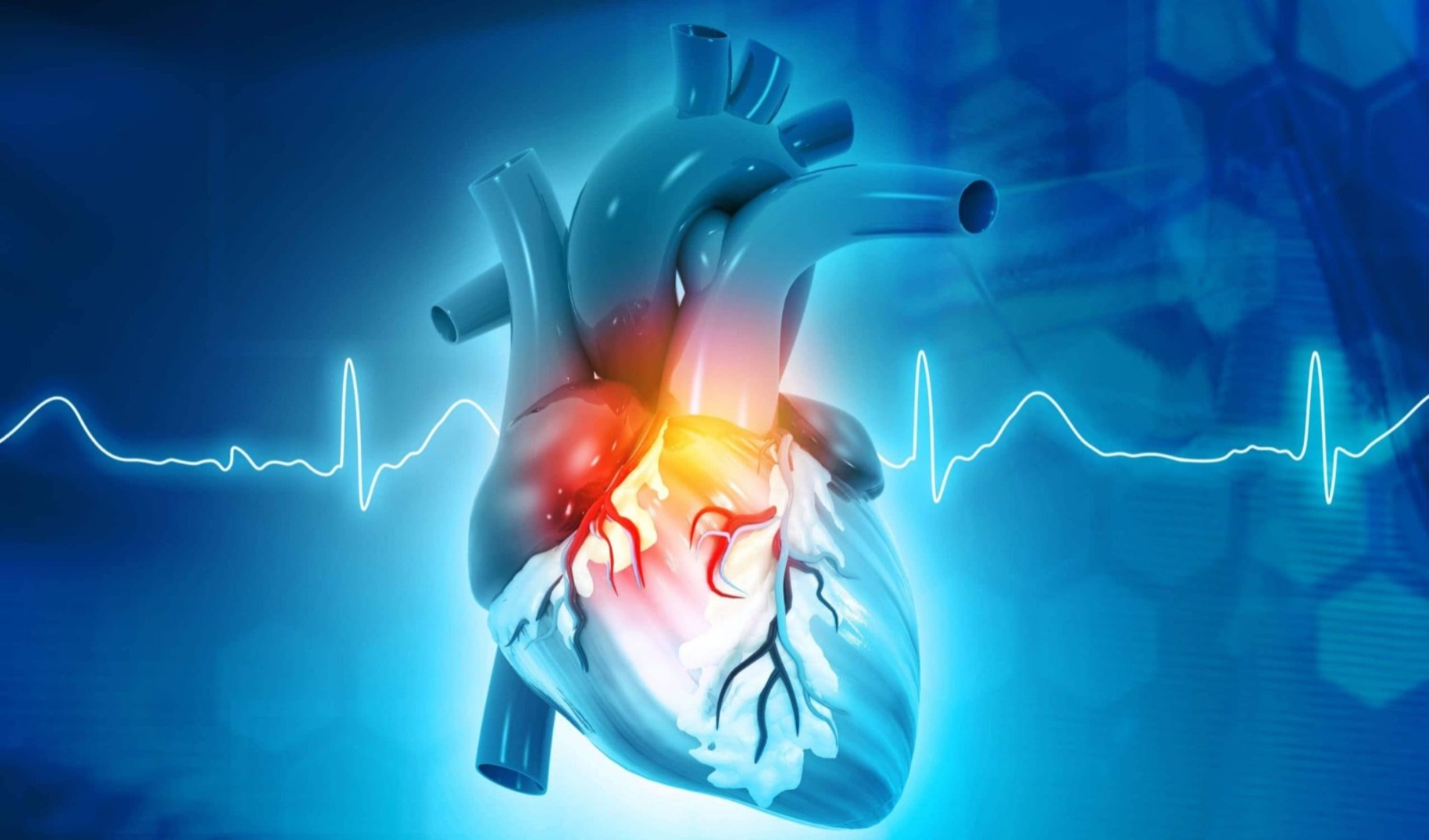Best Cardiology center in nagpur