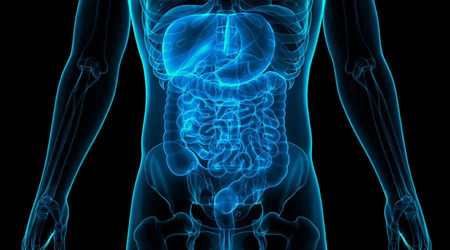 Best gastroenterology center in nagpur